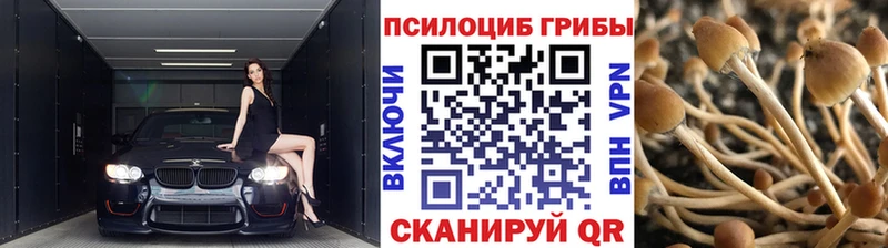 Галлюциногенные грибы ЛСД  Богородицк 