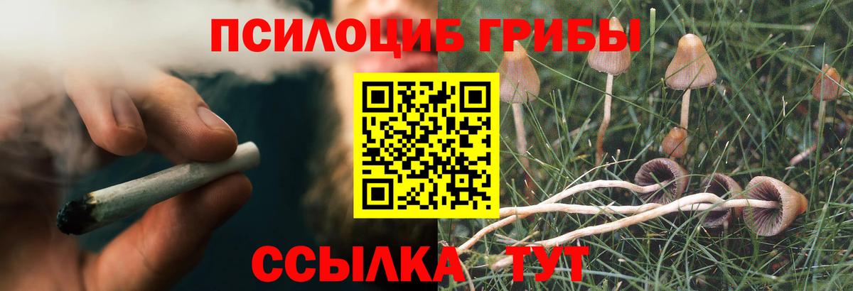 Псилоцибиновые грибы прущие грибы  Вход с VPN  Богородицк 